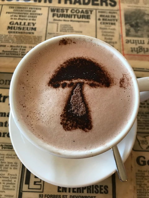 The Mushroom At Waratah - Accommodation Melbourne 9