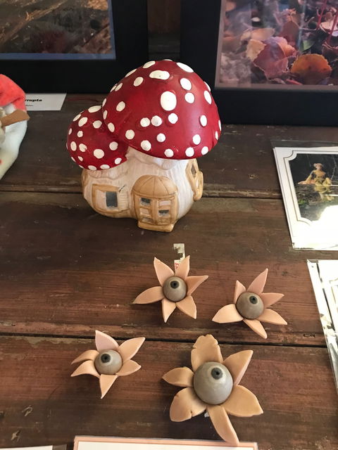 The Mushroom At Waratah - Accommodation Melbourne 7