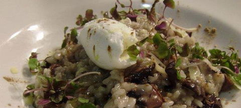 East Ridge Platinum Cafe And Restaurant - Accommodation Melbourne 3