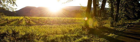 Sam Miranda King Valley - Accommodation Melbourne 4