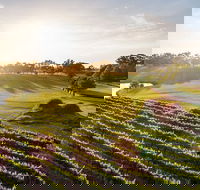Sandalford Restaurant - Accommodation Melbourne