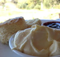 Tanglefoot Winery Cafe - Accommodation Melbourne