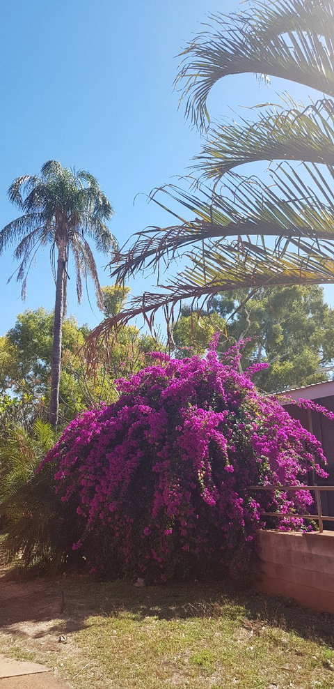 The Pickled Bean - Accommodation Melbourne 1