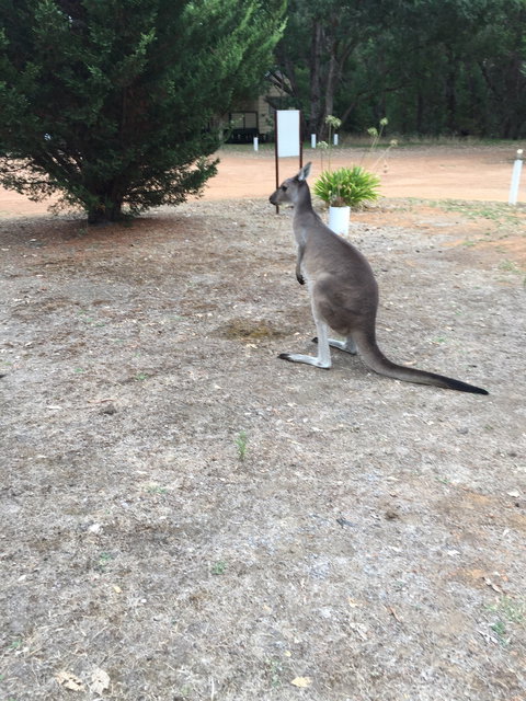 Quinninup Tavern And Restaurant - Accommodation Melbourne 2