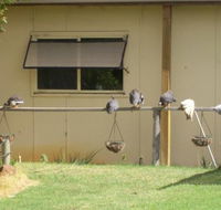 Sandy Grove - Accommodation Melbourne