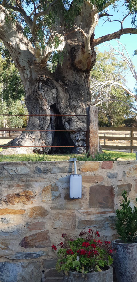 The Greenman Inn - Accommodation Melbourne 1