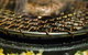 Yeonga Korean BBQ - thumb 0