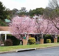 White Lanterns Motel - Accommodation Melbourne