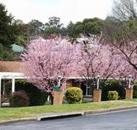 White Lanterns Motel - Accommodation Melbourne