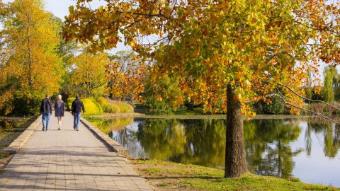 Crowne Plaza Canberra - Accommodation Melbourne 17