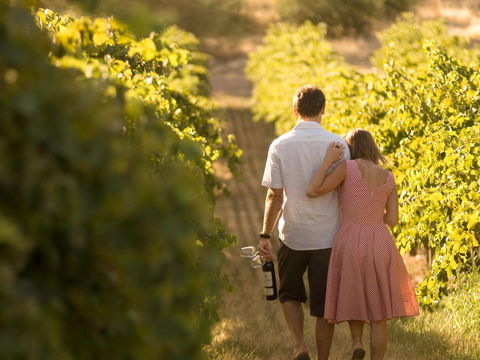 Novotel Barossa Valley Resort - Accommodation Melbourne 1