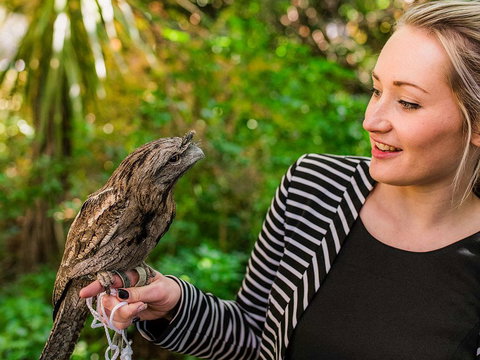 Mount Lofty House - Accommodation Melbourne 1