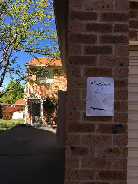 Finches Canberra - Accommodation Melbourne 6