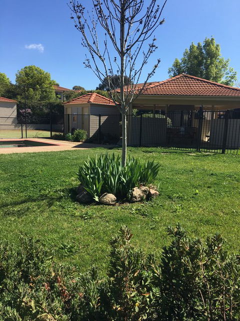 Finches Canberra - Accommodation Melbourne 29