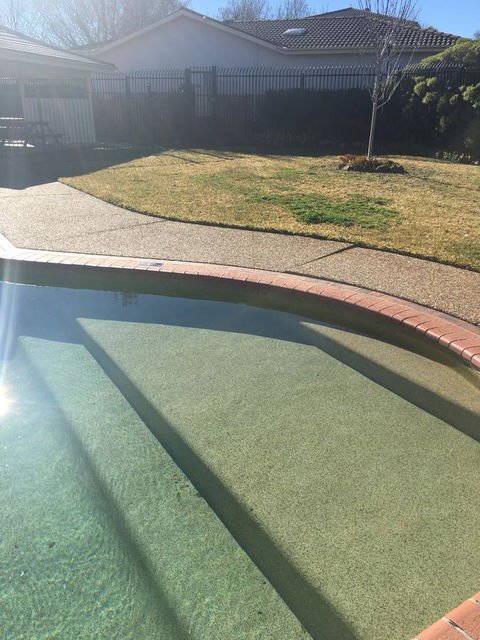 Finches Canberra - Accommodation Melbourne 35