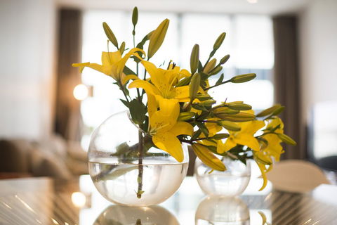 KUI - Manhattan Apartments - Melbourne 4u 0