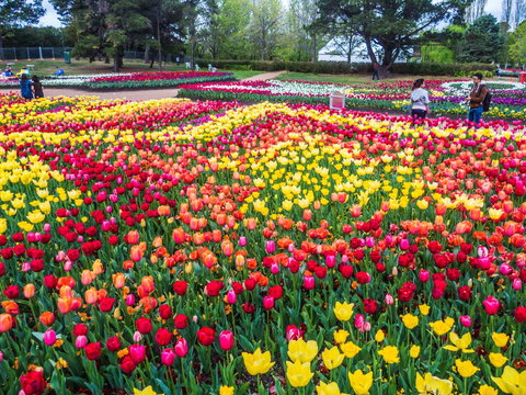 ALLARA CANBERRA - Accommodation Melbourne 16