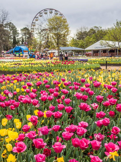 ALLARA CANBERRA - Accommodation Melbourne 15