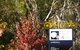 Discovery Parks - Clare - thumb 44