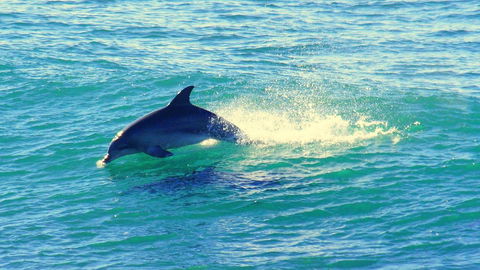 Mollymook Beach Waterfront - Accommodation Melbourne 22