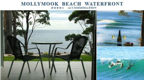 Mollymook Beach Waterfront - Accommodation Melbourne 1