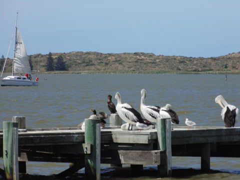 Baronet B & B - Melbourne 4u 20