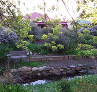 Frog Song at Willunga - Accommodation Melbourne