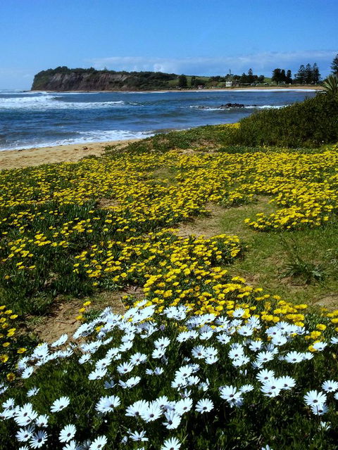 Serenity On Narrabeen Beach - 1Bdr Beachside Retreat - Accommodation Melbourne 10