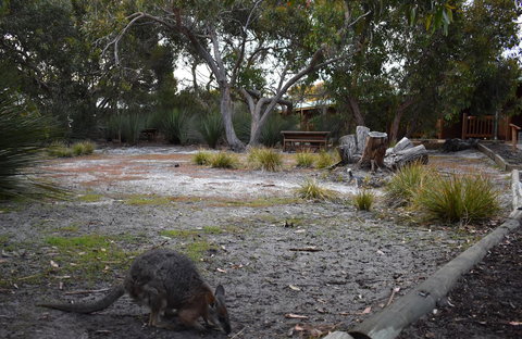 Kangaroo Island Wilderness Retreat - Accommodation Melbourne 1