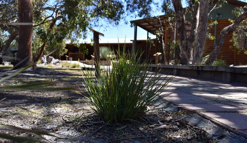 Kangaroo Island Wilderness Retreat - Accommodation Melbourne 21