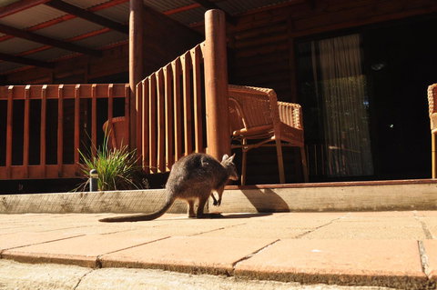 Kangaroo Island Wilderness Retreat - Accommodation Melbourne 9