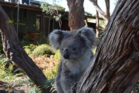 Kangaroo Island Wilderness Retreat - Accommodation Melbourne 6