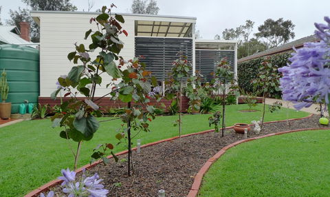 Grassmere House Magill - Accommodation Melbourne 19