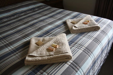 Isis Motel Scone - Accommodation Melbourne 3