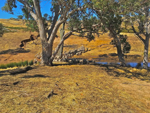 Rabbiters Hut - Accommodation Melbourne 22