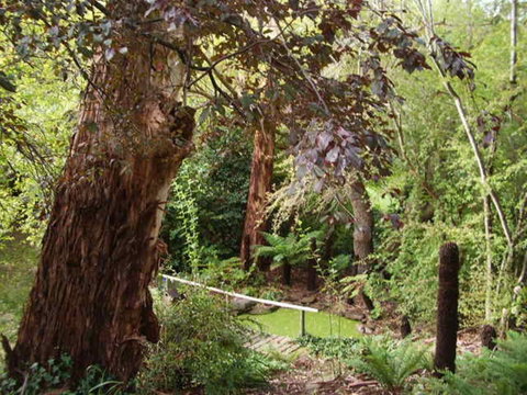 Hilltop - Accommodation Melbourne 13