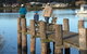Lake Edge Apartments - thumb 22