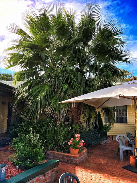 Ten Dollar Town Motel - Accommodation Melbourne 17