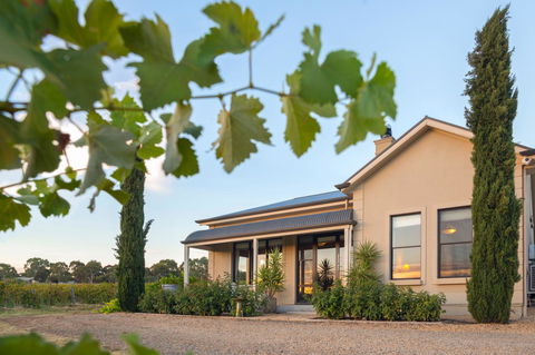 Barossa Shiraz Estate - Accommodation Melbourne 2