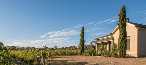 Barossa Shiraz Estate - Accommodation Melbourne 13