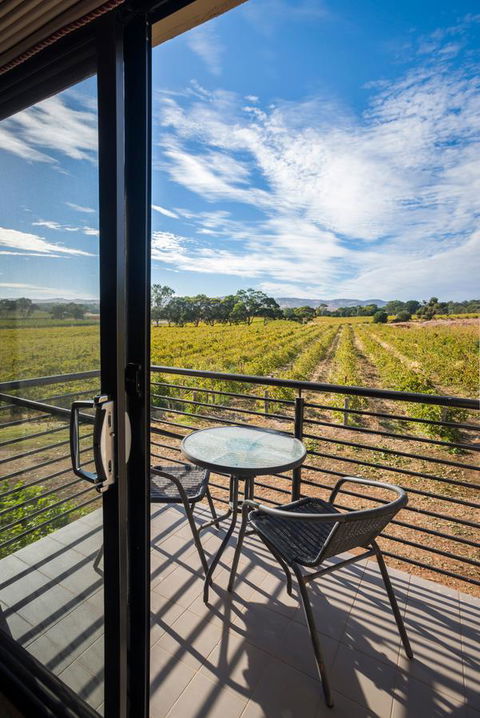 Barossa Shiraz Estate - Accommodation Melbourne 33