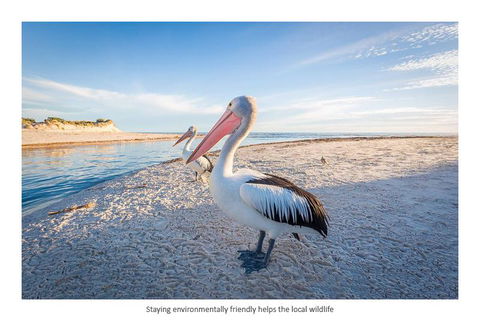 Adelaide Luxury Beach House - Accommodation Melbourne 25