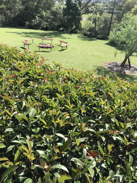 Avon View Stays Accommodation. - Accommodation Melbourne 10
