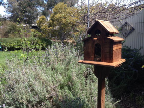 Jack\'s House B&B Clare - Accommodation Melbourne 6