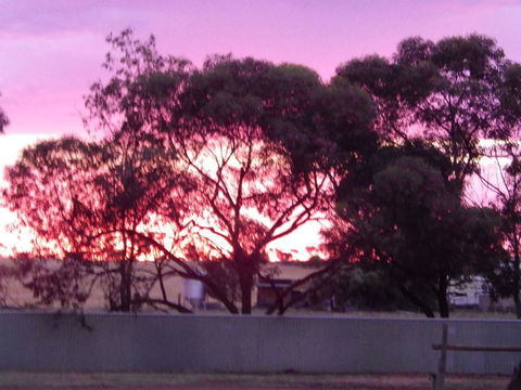 Wudinna Gawler Ranges Motel And Caravan Park - Melbourne 4u 11