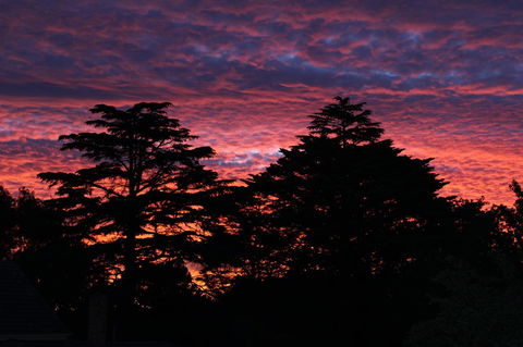 Pirralilla Estate Adelaide Hills - Melbourne 4u 26