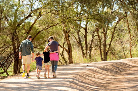 BIG4 Renmark Riverfront Holiday Park - Accommodation Melbourne 13