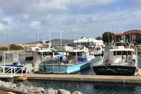 Port Lincoln Shark Apartment 2 - Accommodation Melbourne 17