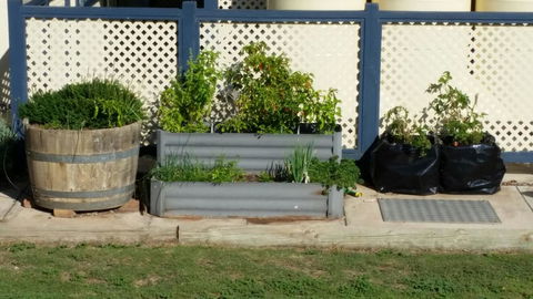 BIG4 Ceduna Tourist Park - Accommodation Melbourne 30