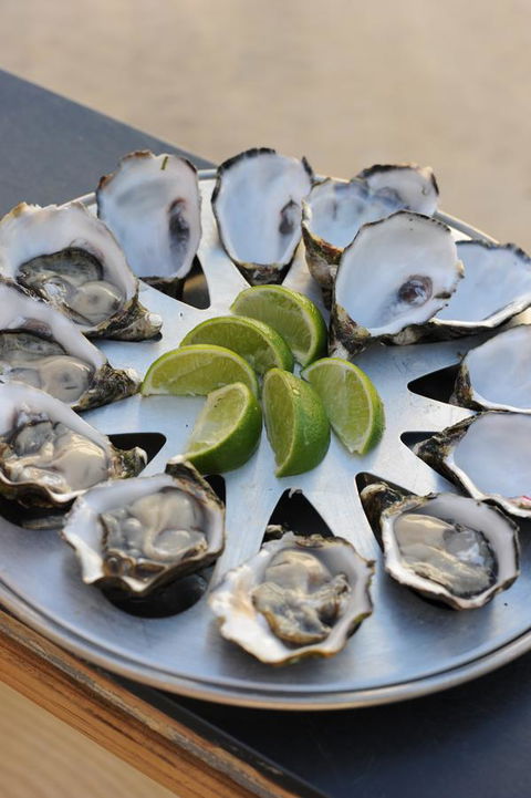 BIG4 Ceduna Tourist Park - Accommodation Melbourne 41